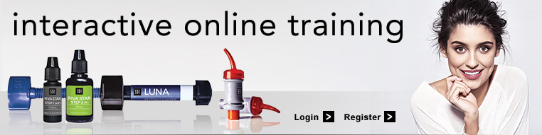 SDI Professional Learning